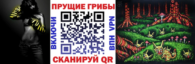 OMG зеркало  Яблоновский  Псилоцибиновые грибы мицелий 